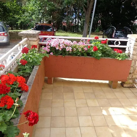 Lejla Rovinj