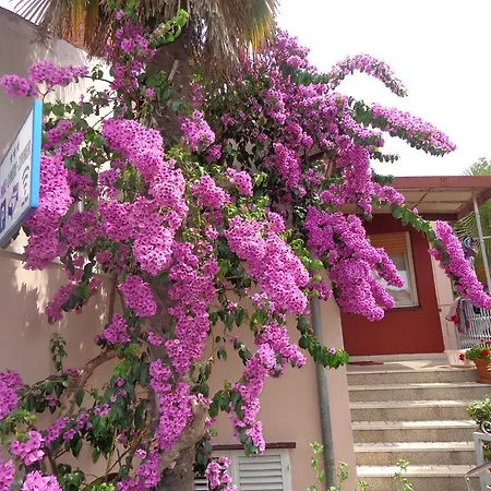 Lejla Pensionat Rovinj